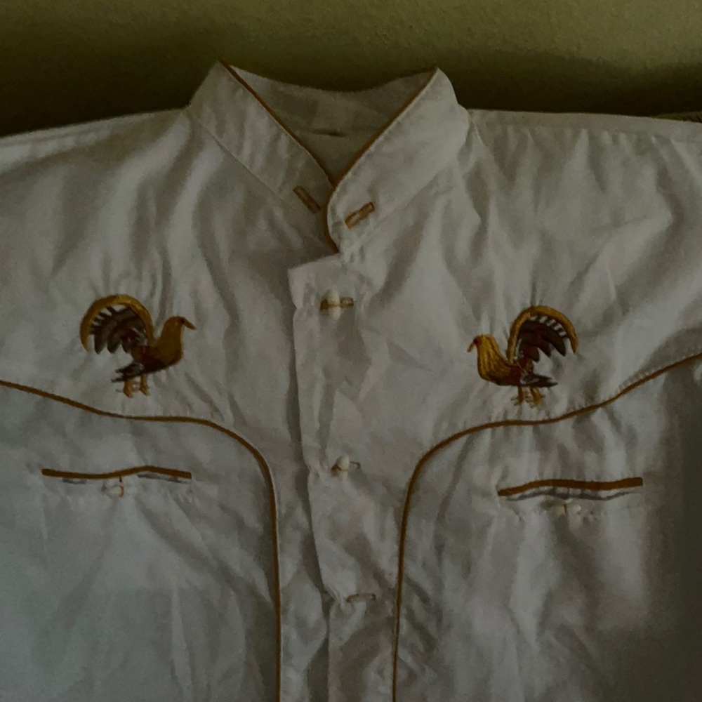 Charro/Mariachi shirt/long sleeve